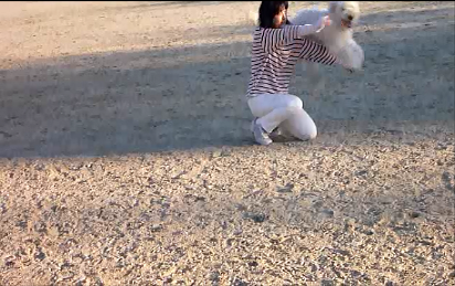 e0161972_1073614.png