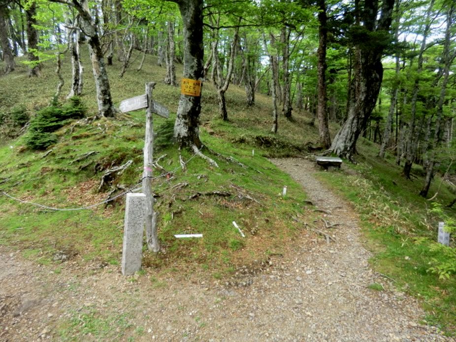 b0185573_75891.jpg