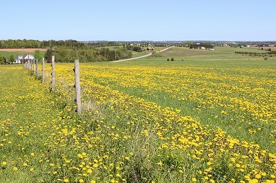 Petting Farm_c0353373_21432245.jpg