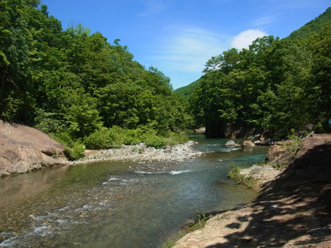 f0083977_773780.jpg