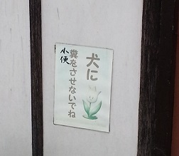 f0228680_943241.jpg