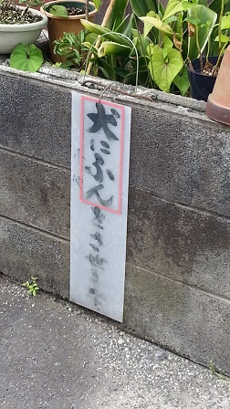 f0228680_9434828.jpg