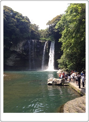 チェジュ島に行ってきました♪_e0206490_21204573.jpg