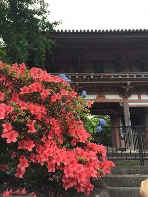 ドゥリムトン村と久安寺_a0152391_09250502.jpg