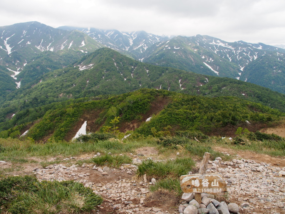 鳴谷山 白峰村へ 春のお花畑と白山展望台15 06 07 日 晴後曇 3名 日和見山歩記 鳴谷山 白峰村へ 春のお花畑と白山展望台15 06 07 日 晴後曇 3名 日和見山歩記