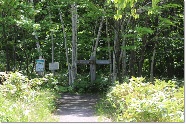 f0146493_22007.jpg