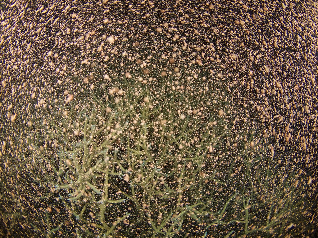 a0010095_2364145.jpg