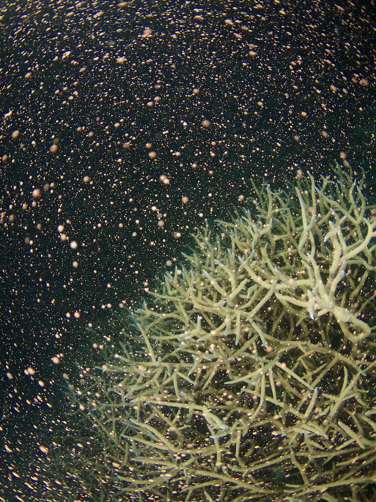 a0010095_2394096.jpg