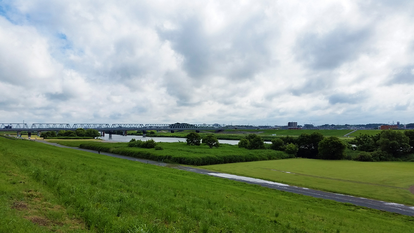 2015.06.06 東京・柴又100K _c0025895_123295.jpg