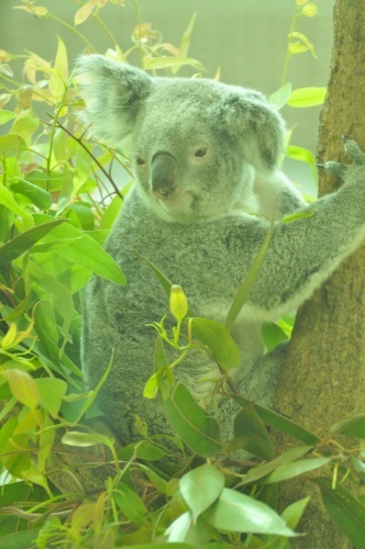 金沢自然動物園にて_e0205297_06334530.jpg