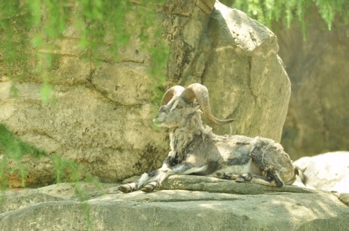 金沢自然動物園にて_e0205297_06422630.jpg