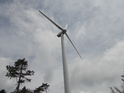 f0308898_1424293.jpg
