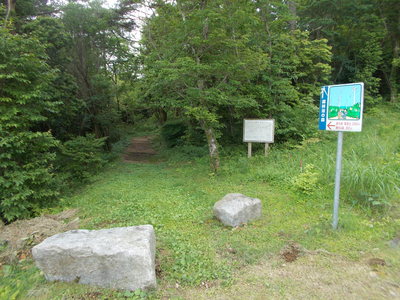 f0308898_1425329.jpg