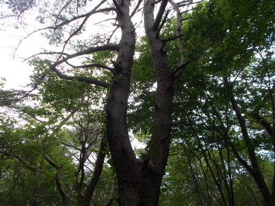 f0308898_14273270.jpg