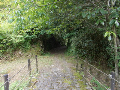 f0308898_1437106.jpg