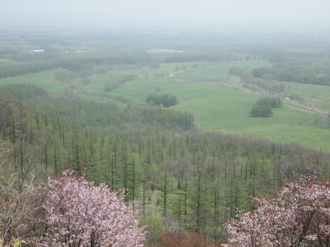スノードロップを見に北海道へ･･･････その４_b0331802_19063652.jpg