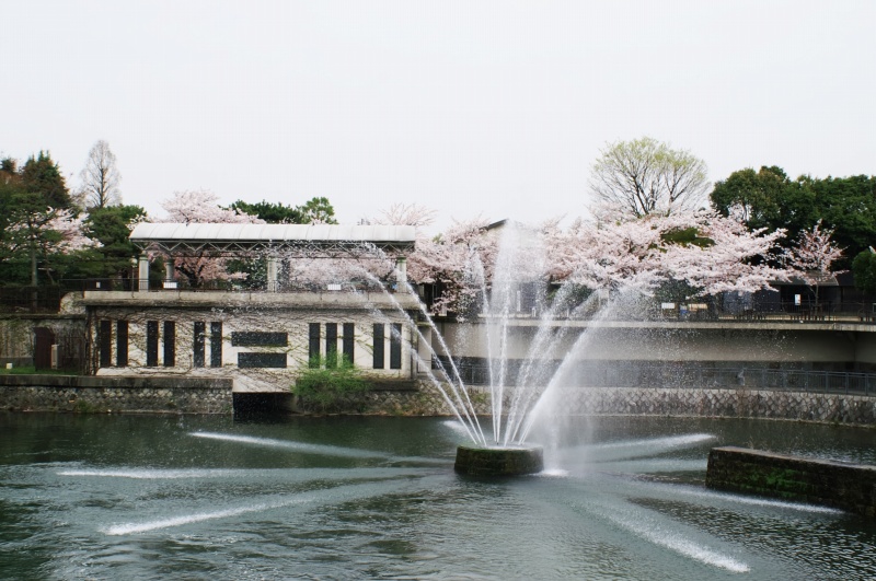 南禅寺（水路閣）琵琶湖疎水_e0039703_22522598.jpg