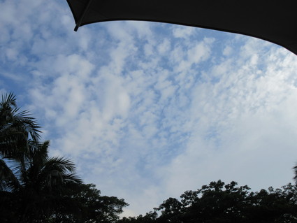 c0212604_222028.jpg