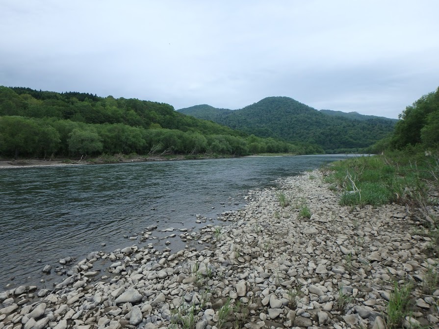 魚は釣れないが 大河は流れる 天塩川 第3の釣り 魚は釣れないが 大河は流れる 天塩川 第3の釣り