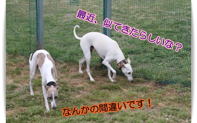 e0100007_22154570.jpg
