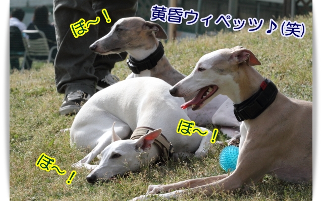 e0100007_22164057.jpg