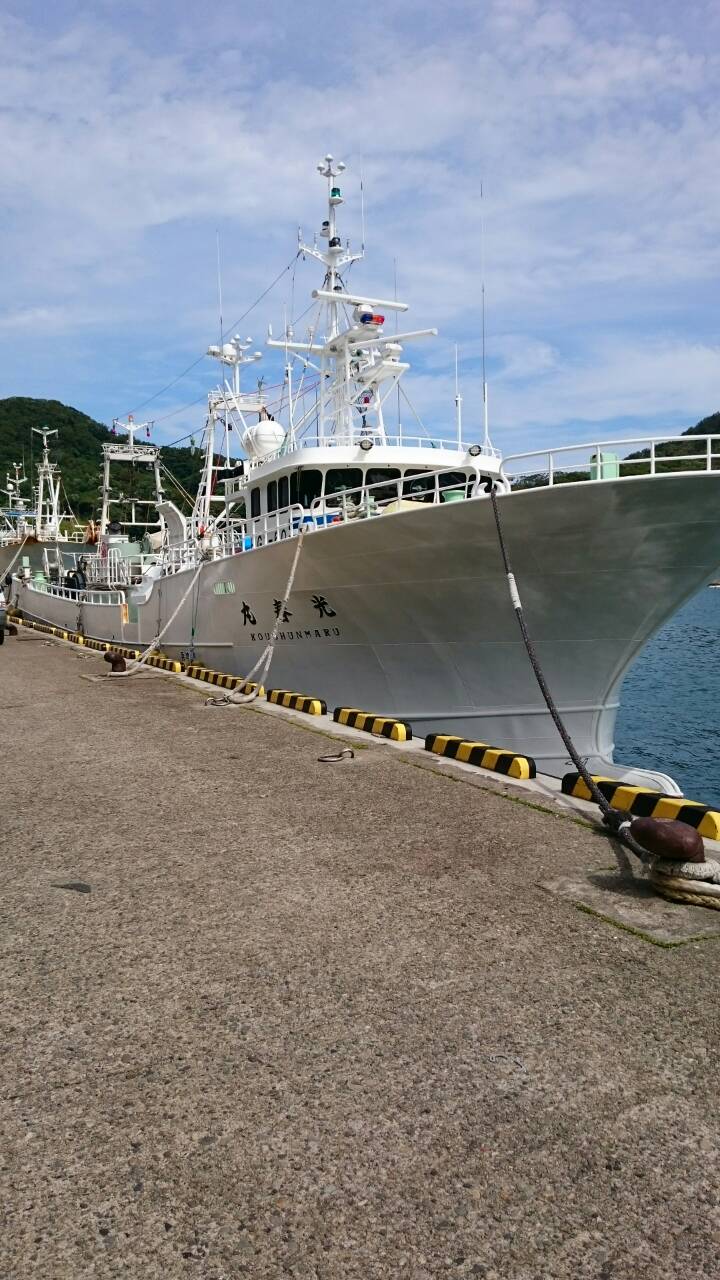 漁師さん♪出港~♪_d0135908_843761.jpg