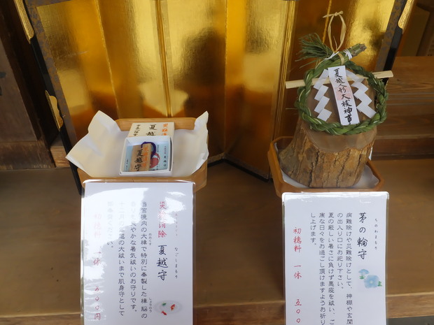 夏の準備！_b0114209_9465171.jpg