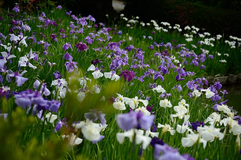 f0032011_19284827.jpg