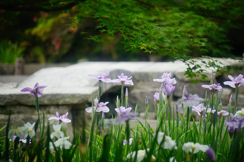 f0032011_1930524.jpg