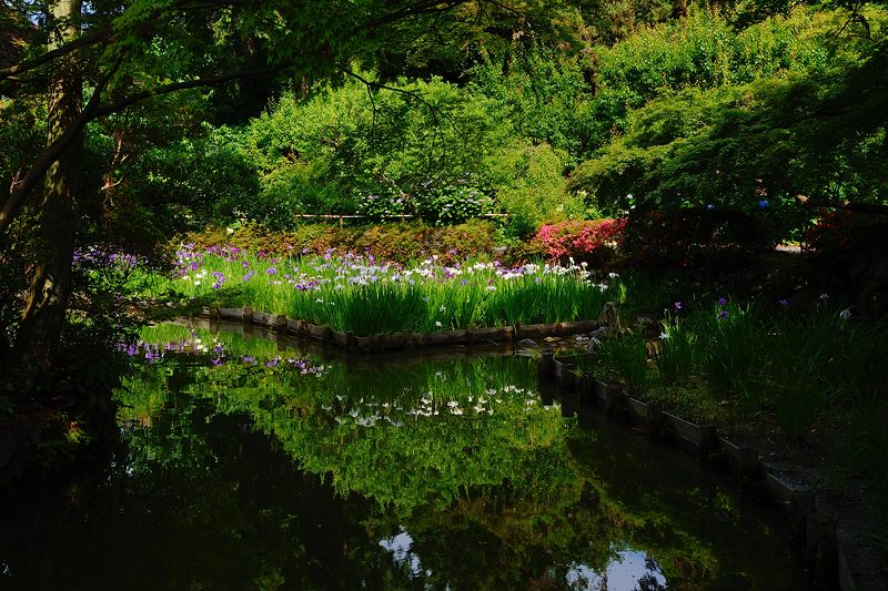 f0032011_2094094.jpg