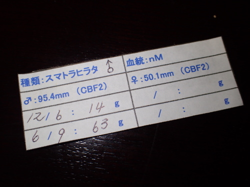 a0315918_20135703.jpg