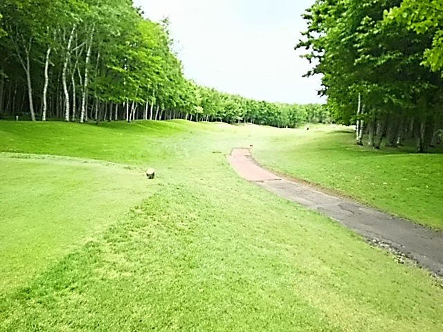 f0227321_20355353.jpg