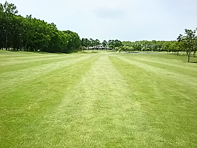 f0227321_20395867.jpg