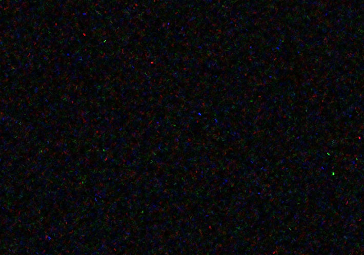 ニコンデジタル一眼ノイズ比較②_f0346040_00575051.jpg