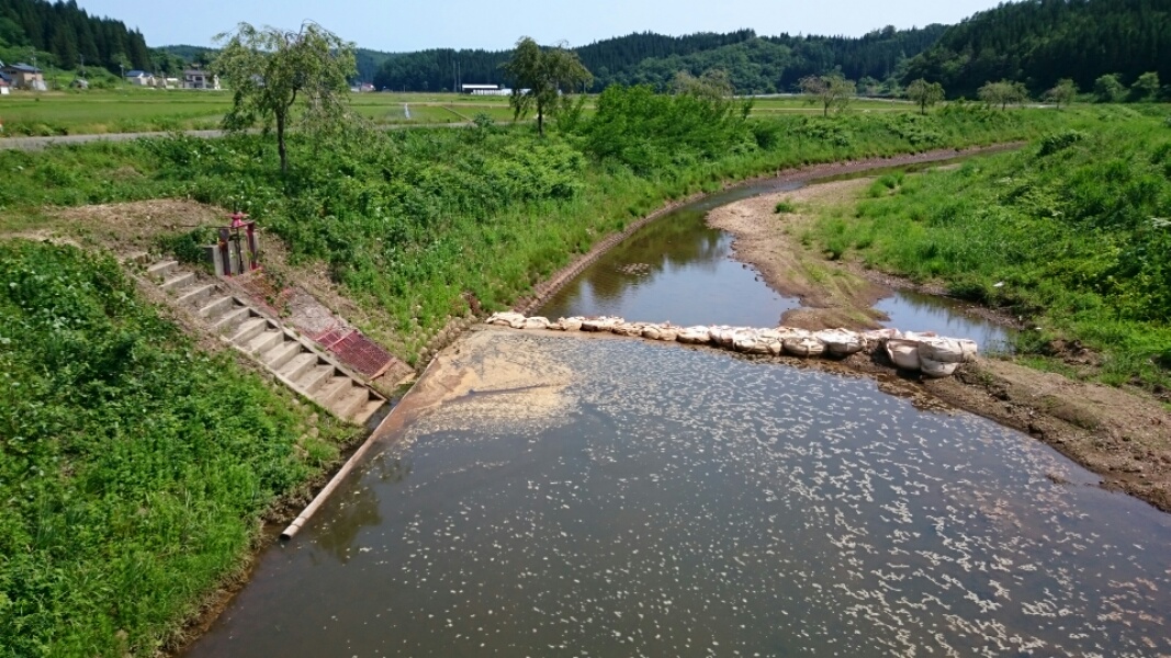 水不足_f0081443_717175.jpg