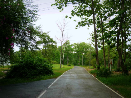 b0166749_00170.jpg