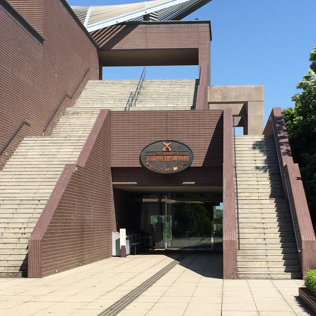 e0019550_92801.jpg