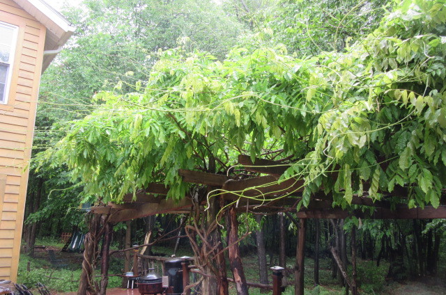 b0247153_03200798.jpg