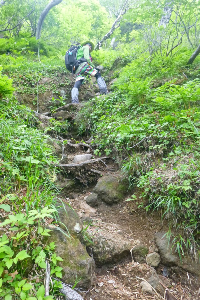 ☆2015.6.8  樽前山 東山→西山→932峰→風不死岳_e0105954_16552671.jpg