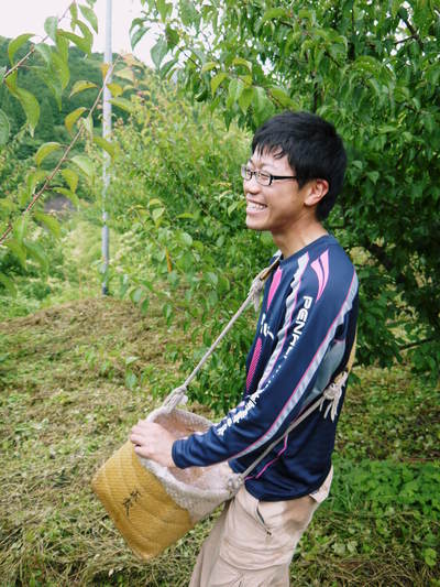 山あいの南高梅 平成27年度青梅初出荷!手摘み、手選別で全国へ!!ご注文はお急ぎください!_a0254656_17541340.jpg