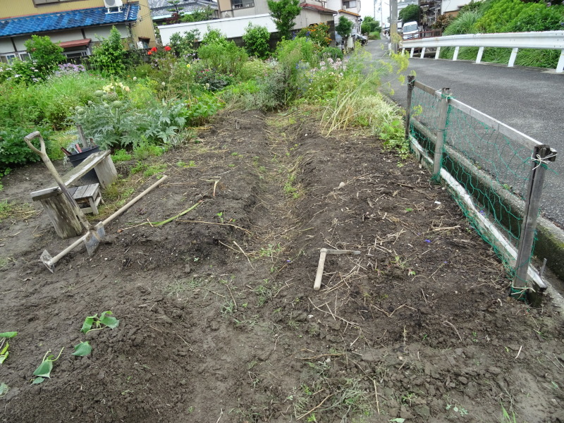 サツマイモの苗162株植え付けました by (TATE-misaki)_c0108460_23015917.jpg