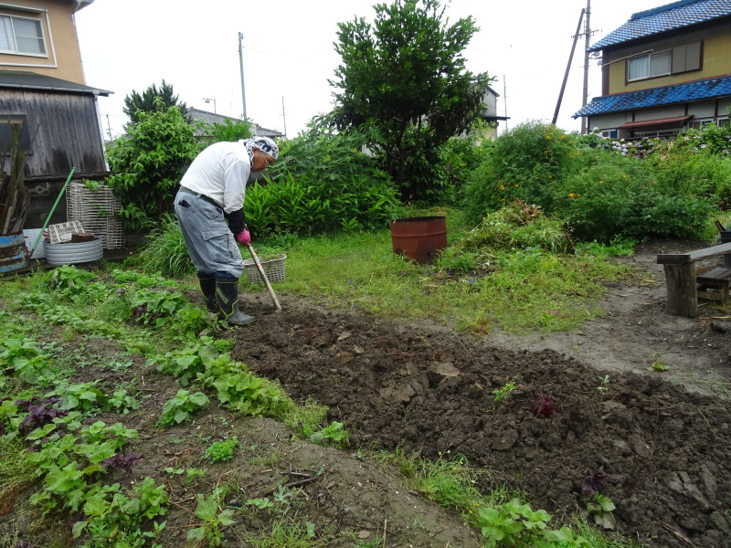 サツマイモの苗162株植え付けました by (TATE-misaki)_c0108460_23020957.jpg