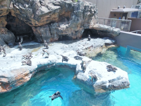 c0127460_9355590.jpg