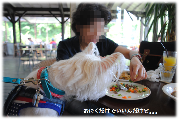 b0242873_01372916.png