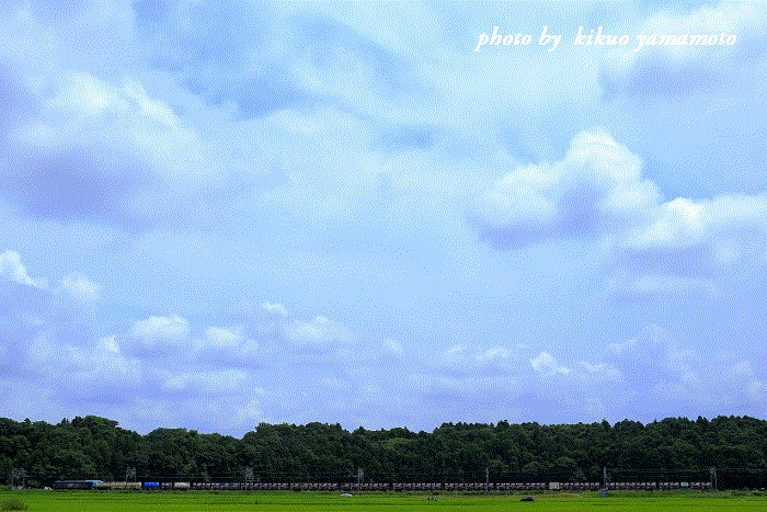 c0206178_12053351.gif