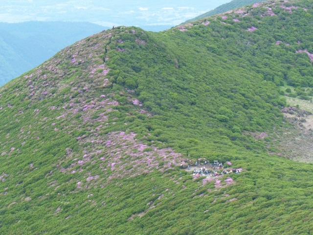 今水から大船山へ_f0357487_1093240.jpg