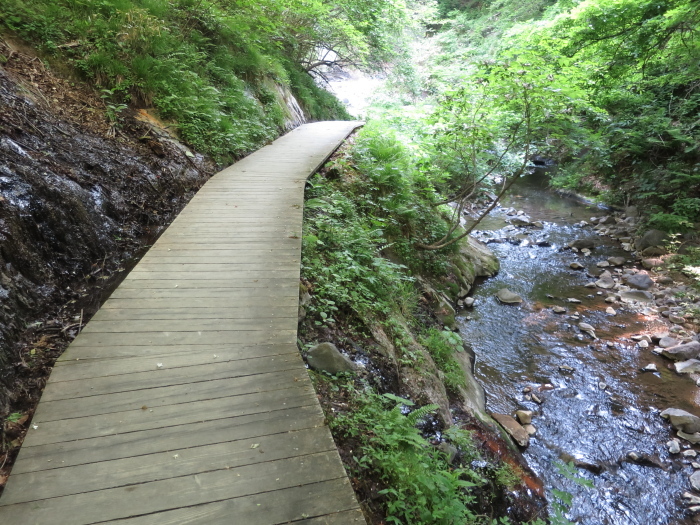 b0339488_20122509.jpg