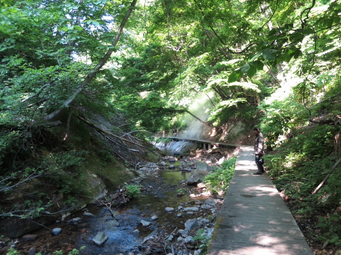 b0339488_20123859.jpg