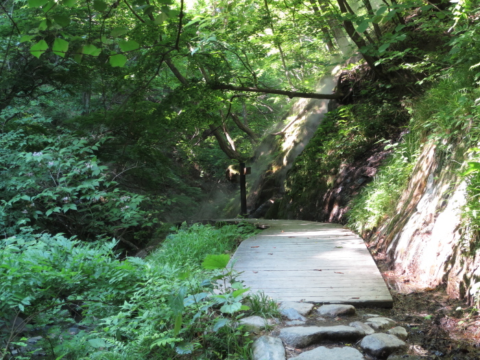 b0339488_20131656.jpg