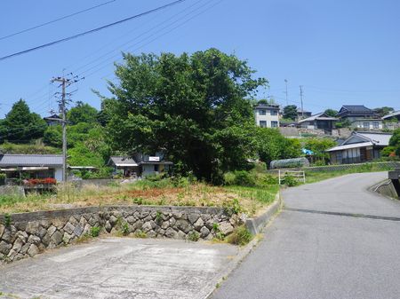 能美島・鹿川　海側　ﾃﾞﾗｼﾈたち_d0089494_10483894.jpg